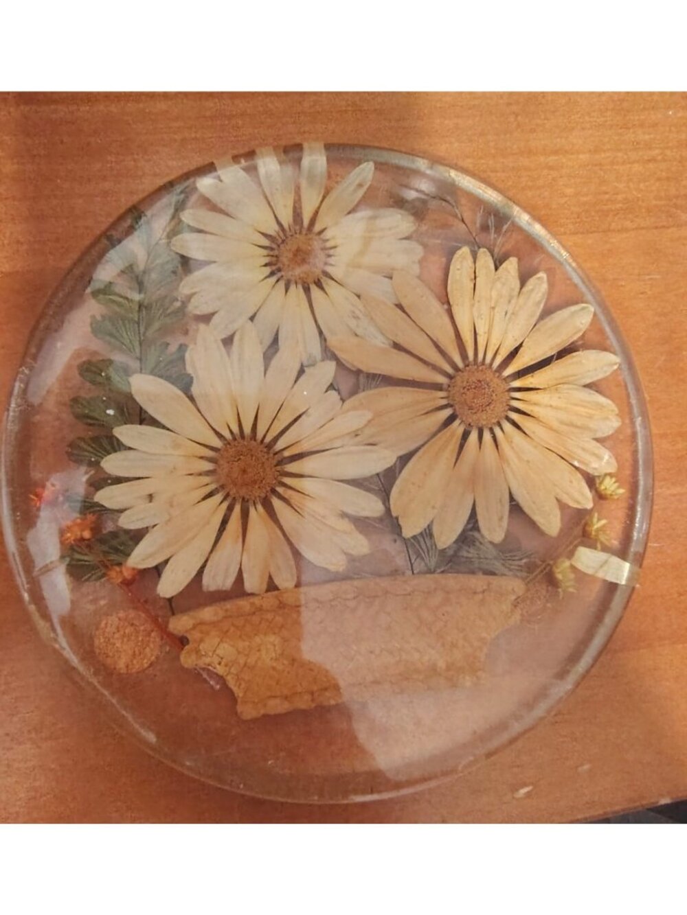 Vintage Lucite Resin Dried Flower Trivet, Daisy Kitsch Cottagecore